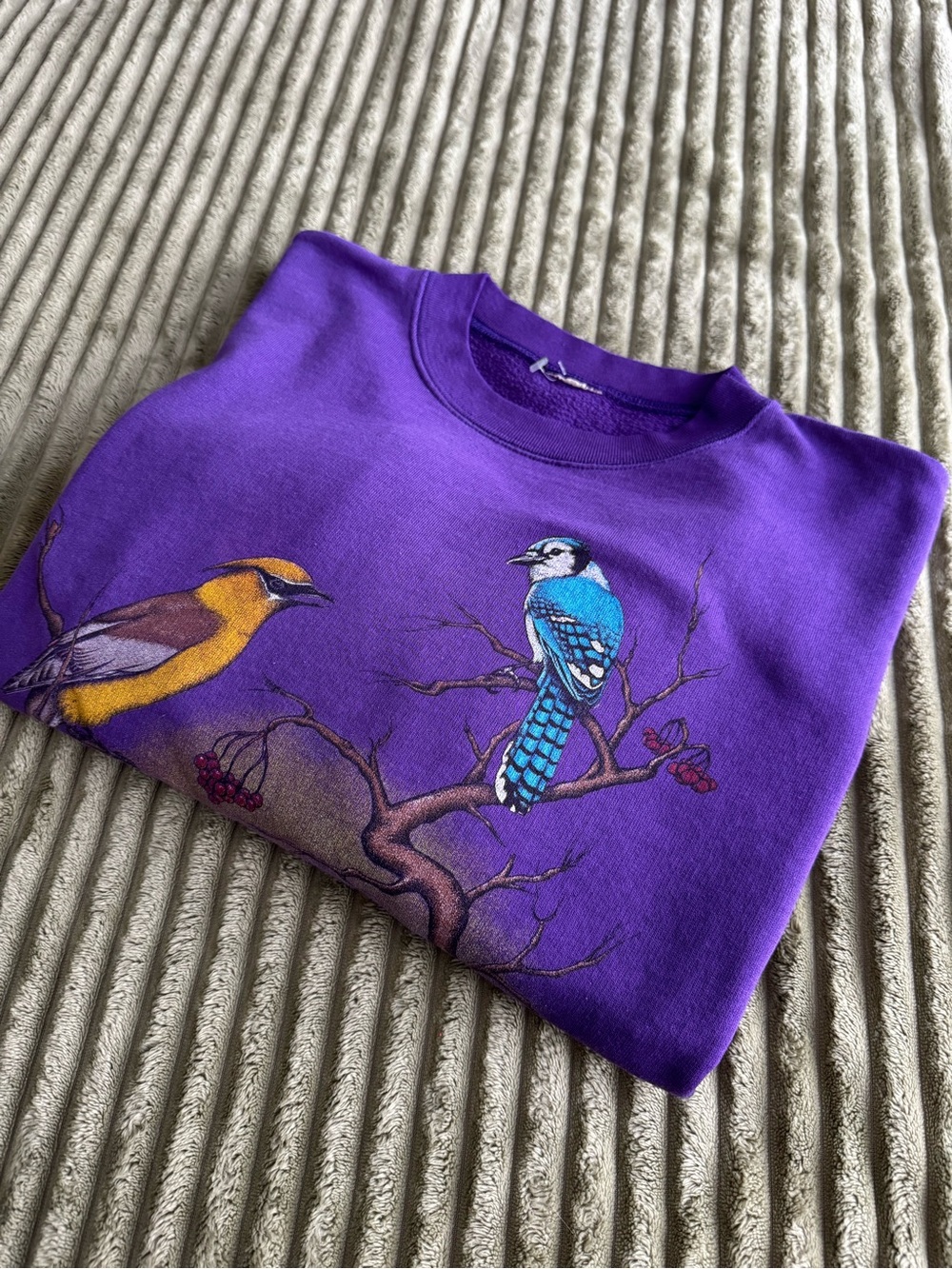 Vintage Purple Sweatshirt with Blue Jay and Yellow Bird Graphic